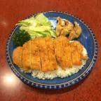 Best Chicken Katsu & Gyoza in Princeton, NJ